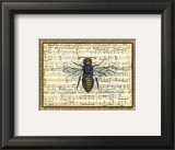 Bumblebee Harmony II