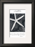 Buy Explore at AllPosters.com