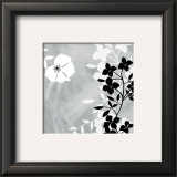 Buy White Shadow at AllPosters.com