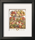 Twelve Months of Fruits, 1732, September
