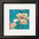 Buy Haiti at AllPosters.com