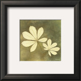 Buy Horse Chestnut Leaf at AllPosters.com