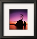 Buy Persistence: Sunset at AllPosters.com