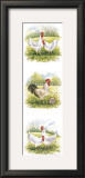Buy Rooster and Four Chickens at AllPosters.com