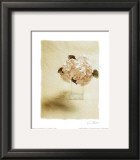 Cut Flowers I