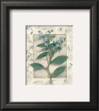 Buy Borage at AllPosters.com