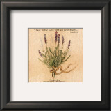 Buy Lavender at AllPosters.com
