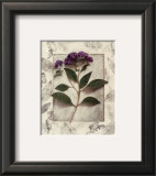 Buy Heliotrope at AllPosters.com