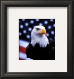 Buy Courage: Eagle and Flag at AllPosters.com