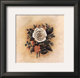 Buy Antique Rose I at AllPosters.com