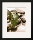 Buy Spring Retreat I at AllPosters.com