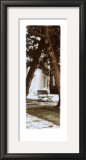 Park Bench