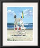Pelican Perch