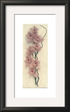 Buy Orchid with Branch at AllPosters.com
