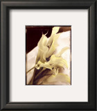 Calla Lilies Detail