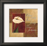 Calla Lily, Cherish Live Dream