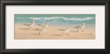 Buy Beach Bunch at AllPosters.com