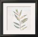 Buy Leaf Synthesis II at AllPosters.com