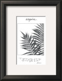 Buy Aspire at AllPosters.com
