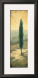 Buy Tuscan Twilight II at AllPosters.com