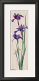 Buy Iris Panel II at AllPosters.com