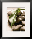 Buy Spring Retreat II at AllPosters.com