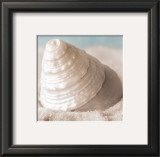 Buy Treasures of the Sea IV at AllPosters.com