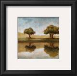 Buy Reflection at AllPosters.com