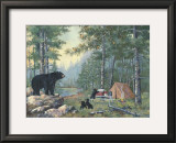 Bears