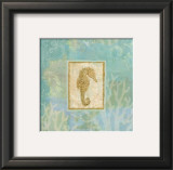 Seahorse I