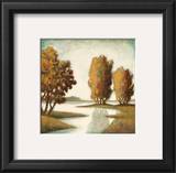 Buy Shadow River at AllPosters.com