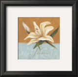 Buy Serene at AllPosters.com