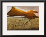 The Sower
