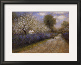 Buy Blosson Lane at AllPosters.com