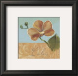 Buy Calm at AllPosters.com