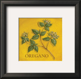 Oregano
