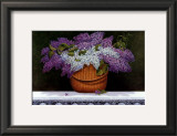 Lilacs Of Nantucket