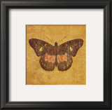 Buy Ochre Butterfly at AllPosters.com