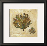 Hornwrack