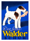 Der feine Walder Schuh