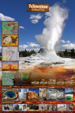 Buy Yellowstone National Park at AllPosters.com