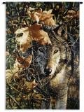 Autumn Eyes