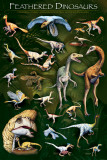 Buy Feathered Dinosaurs I at AllPosters.com