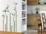 Buy Bamboo at AllPosters.com