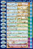 Buy Evolution of Life at AllPosters.com