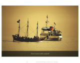 Great Steamers White and Gold