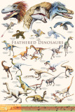 Buy Feathered Dinosaurs II at AllPosters.com