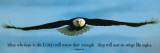 Inspirational - Eagle
