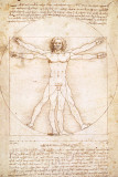 Human Proportions - Vitruvius Man