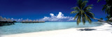 Buy Tropical Beach at AllPosters.com